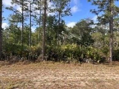 Lake Weohyakapka Lot For Sale in Indian Lake Estates Florida