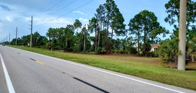 Lehigh Acres Area Lot For Sale in Lehigh Acres Florida