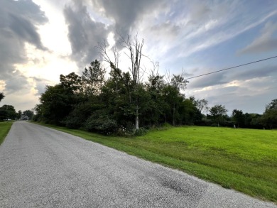 Buildable Lot in Holiday Lakes SOLD - photo 9