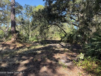 Welcome to your own private oasis! This stunning 6.45 acres of - photo 4