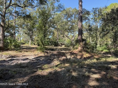Welcome to your own private oasis! This stunning 6.45 acres of - photo 7