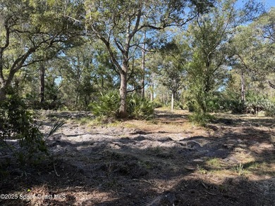 Welcome to your own private oasis! This stunning 6.45 acres of - photo 8