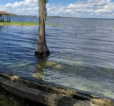 Lake Acreage For Sale in Orlando, Florida