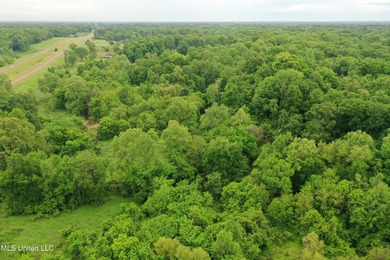 93+/- acres with long frontage on Hwy 302 (Goodman Rd) and also - photo 11
