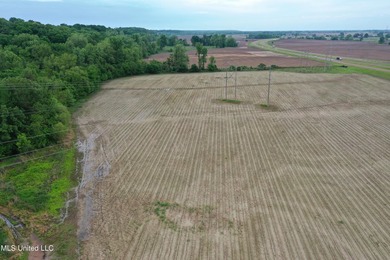 93+/- acres with long frontage on Hwy 302 (Goodman Rd) and also - photo 12