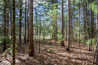 Build Your Dream Home or Getaway Near Castle Rock Lake! Discover - photo 12