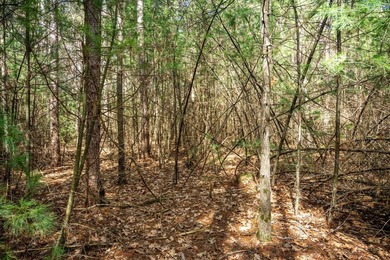 Build Your Dream Home or Getaway Near Castle Rock Lake! Discover - photo 13