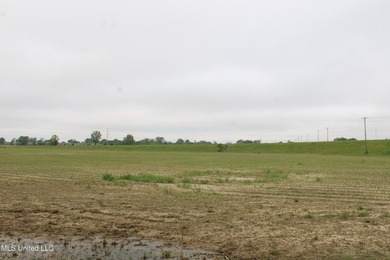 93+/- acres with long frontage on Hwy 302 (Goodman Rd) and also - photo 14