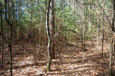 Build Your Dream Home or Getaway Near Castle Rock Lake! Discover - photo 14