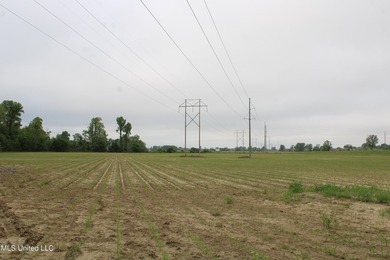 93+/- acres with long frontage on Hwy 302 (Goodman Rd) and also - photo 15