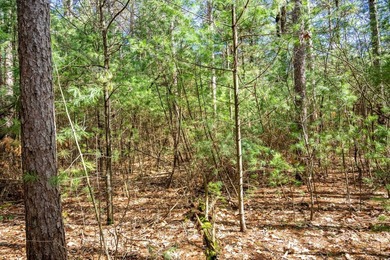 Build Your Dream Home or Getaway Near Castle Rock Lake! Discover - photo 15
