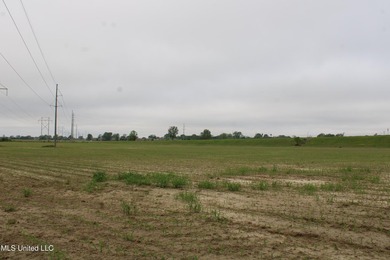 93+/- acres with long frontage on Hwy 302 (Goodman Rd) and also - photo 16