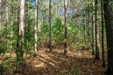 Build Your Dream Home or Getaway Near Castle Rock Lake! Discover - photo 16