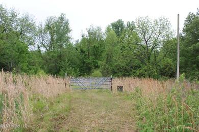 93+/- acres with long frontage on Hwy 302 (Goodman Rd) and also - photo 17