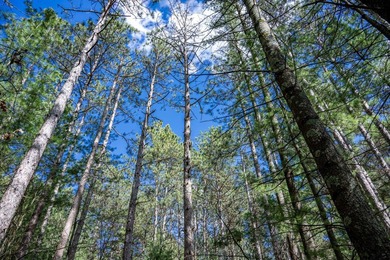 Build Your Dream Home or Getaway Near Castle Rock Lake! Discover - photo 17