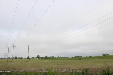 93+/- acres with long frontage on Hwy 302 (Goodman Rd) and also - photo 20