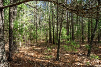 Build Your Dream Home or Getaway Near Castle Rock Lake! Discover - photo 21