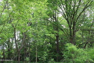 93+/- acres with long frontage on Hwy 302 (Goodman Rd) and also - photo 22