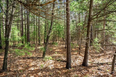 Build Your Dream Home or Getaway Near Castle Rock Lake! Discover - photo 22