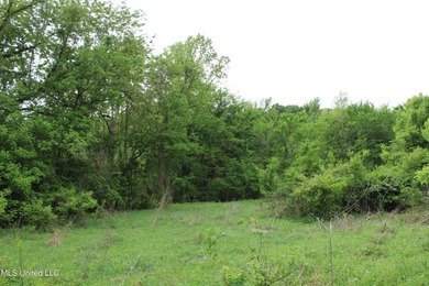 93+/- acres with long frontage on Hwy 302 (Goodman Rd) and also - photo 24