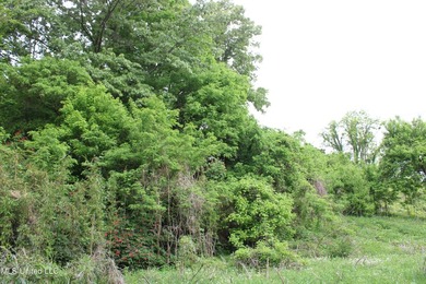 93+/- acres with long frontage on Hwy 302 (Goodman Rd) and also - photo 26
