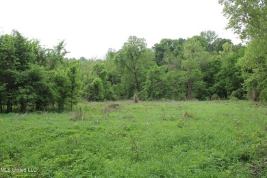 93+/- acres with long frontage on Hwy 302 (Goodman Rd) and also - photo 27