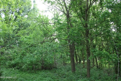 93+/- acres with long frontage on Hwy 302 (Goodman Rd) and also - photo 28