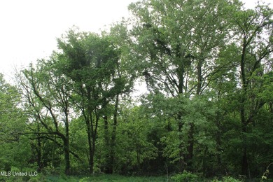 93+/- acres with long frontage on Hwy 302 (Goodman Rd) and also - photo 32
