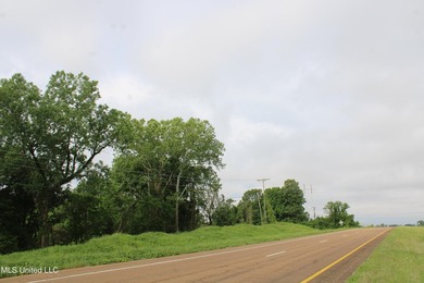 93+/- acres with long frontage on Hwy 302 (Goodman Rd) and also - photo 33