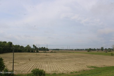 93+/- acres with long frontage on Hwy 302 (Goodman Rd) and also - photo 36