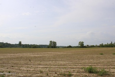 93+/- acres with long frontage on Hwy 302 (Goodman Rd) and also - photo 37
