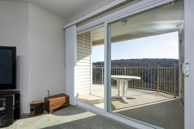 Lakefront Condo Package Here's a rare opportunity at Table Rock - photo 8