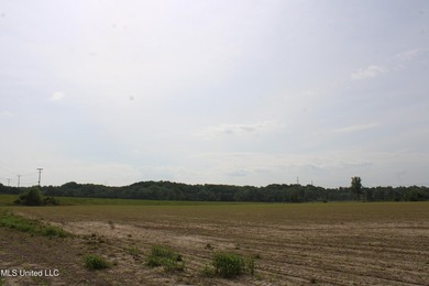 93+/- acres with long frontage on Hwy 302 (Goodman Rd) and also - photo 38