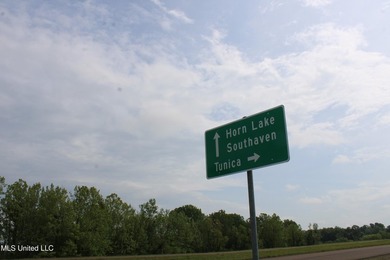 93+/- acres with long frontage on Hwy 302 (Goodman Rd) and also - photo 39