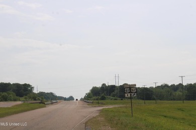 93+/- acres with long frontage on Hwy 302 (Goodman Rd) and also - photo 40