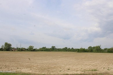 93+/- acres with long frontage on Hwy 302 (Goodman Rd) and also - photo 41