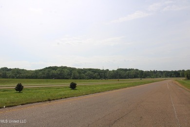 93+/- acres with long frontage on Hwy 302 (Goodman Rd) and also - photo 42