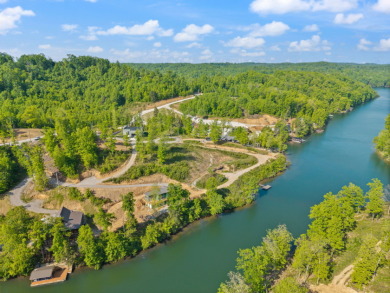 WOOD CREEK LAKEFRONT BUILDING LOTS - photo 6