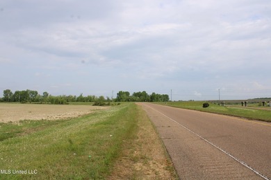 93+/- acres with long frontage on Hwy 302 (Goodman Rd) and also - photo 44
