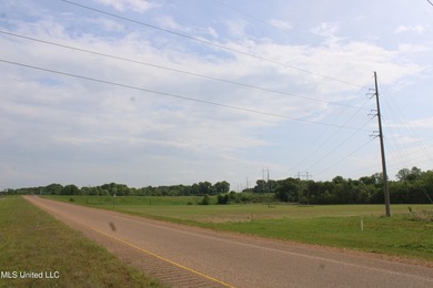 93+/- acres with long frontage on Hwy 302 (Goodman Rd) and also - photo 46