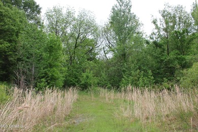 93+/- acres with long frontage on Hwy 302 (Goodman Rd) and also - photo 47