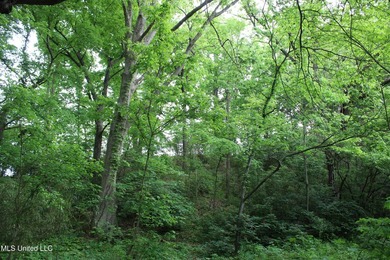 93+/- acres with long frontage on Hwy 302 (Goodman Rd) and also - photo 50