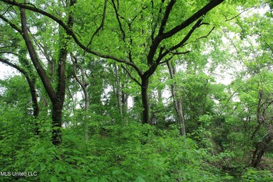 93+/- acres with long frontage on Hwy 302 (Goodman Rd) and also - photo 51