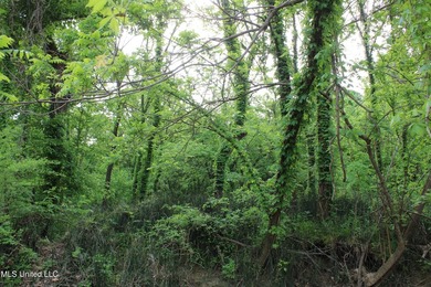 93+/- acres with long frontage on Hwy 302 (Goodman Rd) and also - photo 53