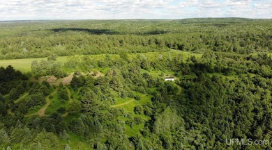 80 Acres of Upper Peninsula Paradise Bordering Ottawa National - photo 5