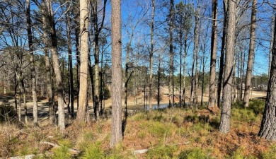 (private lake, pond, coastal) Lot For Sale in North Augusta South Carolina