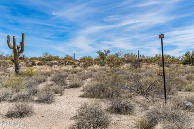Nestled into a 2.1-acre lot, a 7,600 sq ft to-be-built home - photo 21