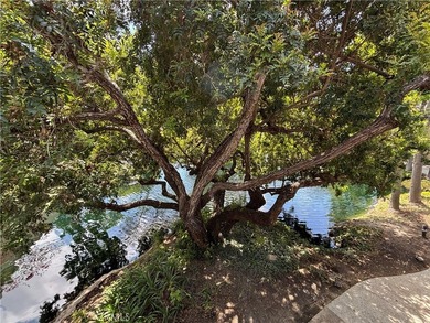 Welcome to the the El Dorado Lakes! Located in desirable East - photo 23