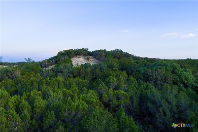 472 acres located just 8.6 miles northeast of Lometa and 20 - photo 8