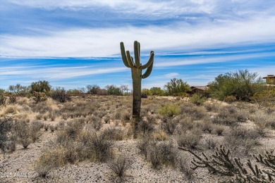 Nestled into a 2.1-acre lot, a 7,600 sq ft to-be-built home - photo 41